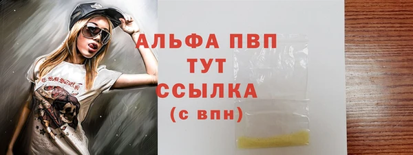 СК Волосово