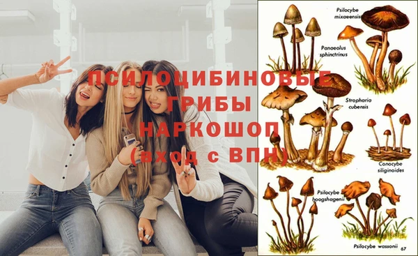 скорость Волоколамск